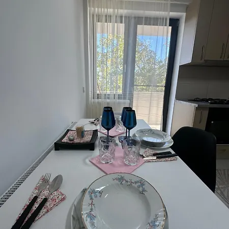 - Sunny Oasis * Craiova