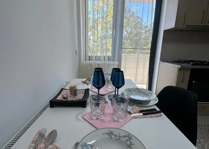 - Sunny Oasis * クラヨーヴァ